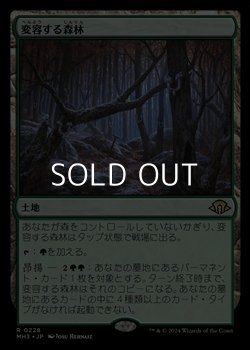 画像1: 【日本語】変容する森林/Shifting Woodland