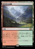 【日本語】樹木茂る山麓/Wooded Foothills