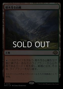 画像1: 【日本語】樹木茂る山麓/Wooded Foothills