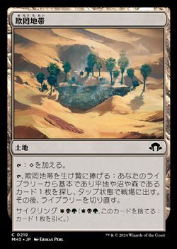 画像1: 【日本語】欺罔地帯/Deceptive Landscape