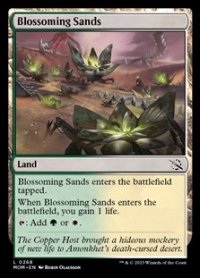 【英語】花咲く砂地/Blossoming Sands