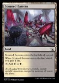 【英語】磨かれたやせ地/Scoured Barrens
