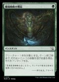 【日本語】機械蜘蛛の順応/Arachnoid Adaptation