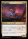 【日本語】嵐爪の憤怒鬼/Stormclaw rager