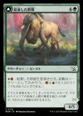 【日本語Foil】結束した群獣/Bonded Herdbeast