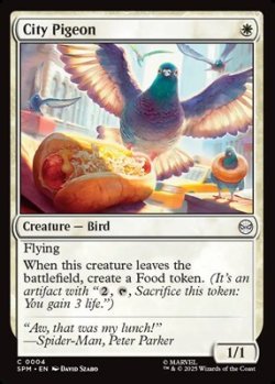 画像1: 【英語】街の鳩/City Pigeon