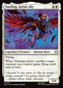 画像1: 【英語】空の援軍、スターリング/Starling, Aerial Ally