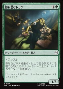 画像1: 【日本語】隠れ潜むトカゲ/Lurking Lizards