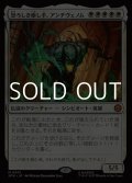 【日本語Foil】恐ろしき癒し手、アンチヴェノム/Anti-Venom, Horrifying Healer
