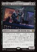 【日本語】狡猾な怪盗、ブラックキャット/Black Cat, Cunning Thief