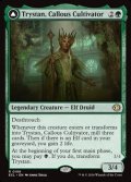 【英語】無感情の栽培者、トリスタン/Trystan, Callous Cultivator