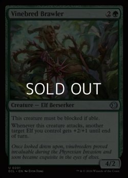 画像1: 【英語Foil】ツタ育ての喧嘩屋/Vinebred Brawler