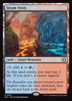 画像1: 【英語】蒸気孔/Steam Vents