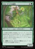 【日本語Foil】リス・アラナの高官/Lys Alana Dignitary