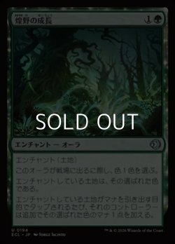 画像1: 【日本語Foil】煌野の成長/Shimmerwilds Growth