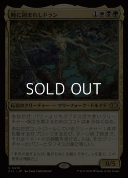 画像1: 【日本語Foil】時に囲まれしドラン/Doran, Besieged by Time