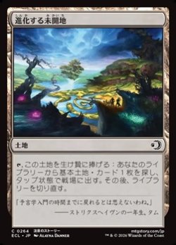 画像1: 【日本語Foil】進化する未開地/Evolving Wilds