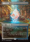☆特殊枠【日本語】神聖なる泉/Hallowed Fountain