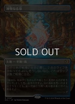 画像1: ☆特殊枠【日本語Foil】神聖なる泉/Hallowed Fountain