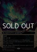 ☆特殊枠【英語Foil】ちらつき蛾の生息地/Blinkmoth Nexus