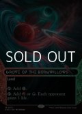 ☆特殊枠【英語Foil】燃え柳の木立ち/Grove of the Burnwillows