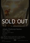 ☆特殊枠【英語Foil】吹きさらしの要塞、アダージア/Adagia, Windswept Bastion