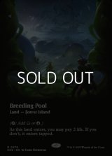 ☆特殊枠【英語Foil】繁殖池/Breeding Pool