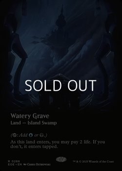 画像1: ☆特殊枠【英語】湿った墓/Watery Grave