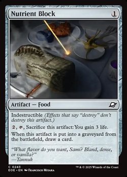画像1: 【英語】ブロック型栄養食/Nutrient Block
