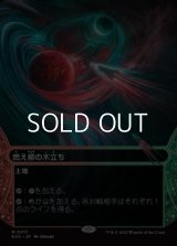 ☆特殊枠【日本語Foil】燃え柳の木立ち/Grove of the Burnwillows