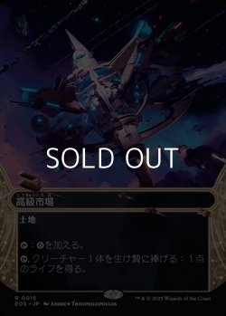 画像1: ☆特殊枠【日本語】高級市場/High Market