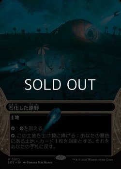 画像1: ☆特殊枠【日本語】石化した原野/Petrified Field