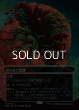 ☆特殊枠【日本語Foil】怒り狂う山峡/Raging Ravine