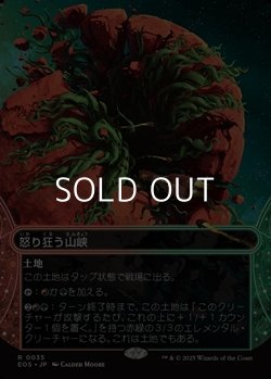 画像1: ☆特殊枠【日本語Foil】怒り狂う山峡/Raging Ravine