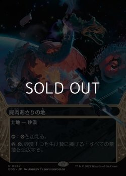 画像1: ☆特殊枠【日本語Foil】屍肉あさりの地/Scavenger Grounds