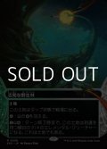 ☆特殊枠【日本語Foil】活発な野生林/Stirring Wildwood