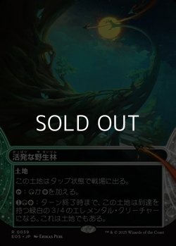 画像1: ☆特殊枠【日本語Foil】活発な野生林/Stirring Wildwood