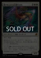 【日本語Foil】喜びあふれる太陽生まれ/Exalted Sunborn