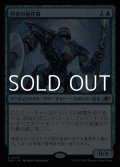 【日本語Foil】特使の随伴機/Emissary Escort