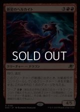 【日本語Foil】新星のヘルカイト/Nova Hellkite