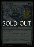 【日本語Foil】幼生護りの精鋭/Broodguard Elite