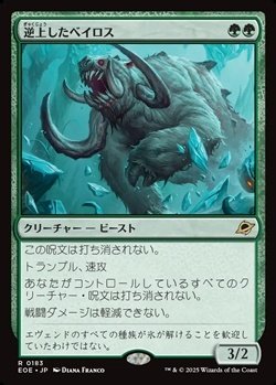 画像1: 【日本語】逆上したベイロス/Frenzied Baloth