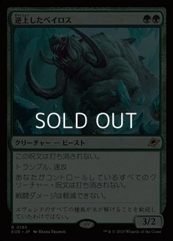 画像1: 【日本語Foil】逆上したベイロス/Frenzied Baloth