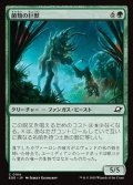 【日本語】菌類の巨獣/Fungal Colossus
