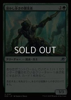 画像1: 【日本語Foil】溶かし歩きの賛美者/Meltstrider Eulogist