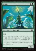 【日本語】空刺し/Skystinger