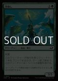 【日本語Foil】空刺し/Skystinger