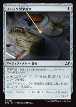 画像1: 【日本語】ブロック型栄養食/Nutrient Block