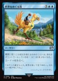 【日本語Foil】世界をめぐる旅/Travel the Overworld