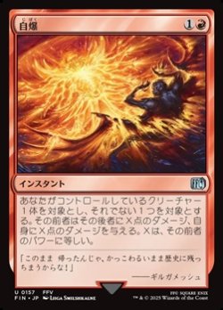 画像1: 【日本語】自爆/Self-Destruct